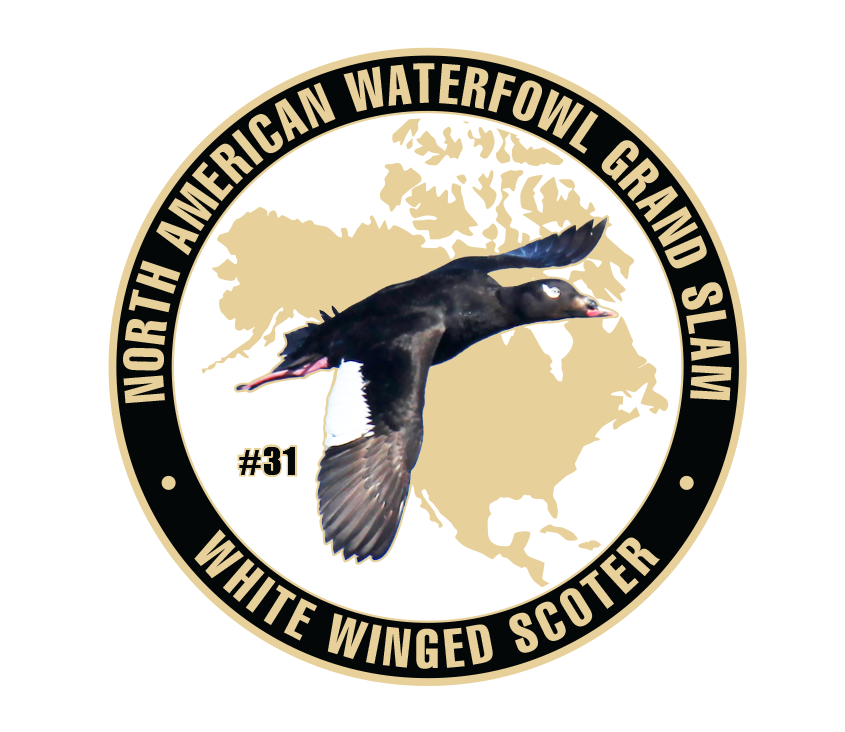 UWC White-Winged Scoter Challenge Coin