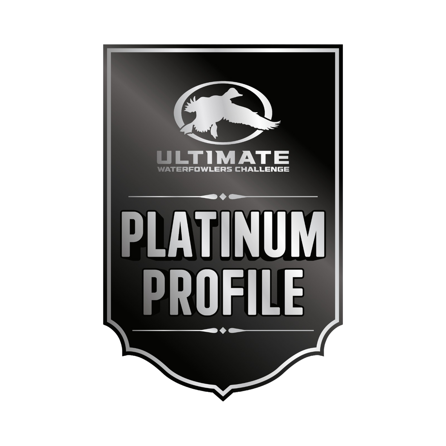 Platinum Profile Upgrade