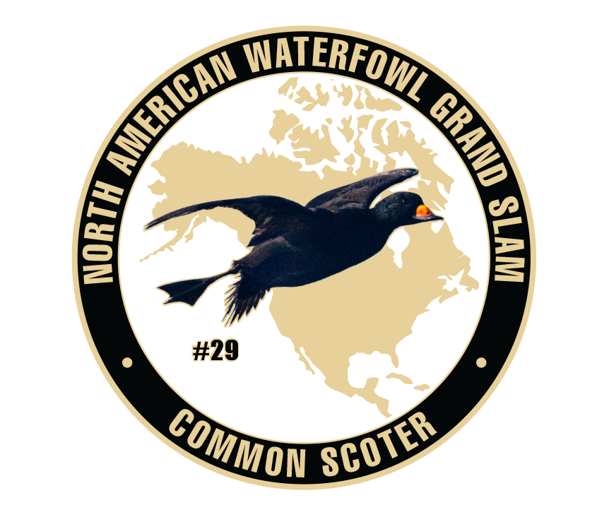 UWC Common Scoter Challenge Coin