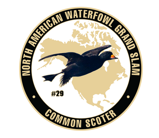 UWC Common Scoter Challenge Coin