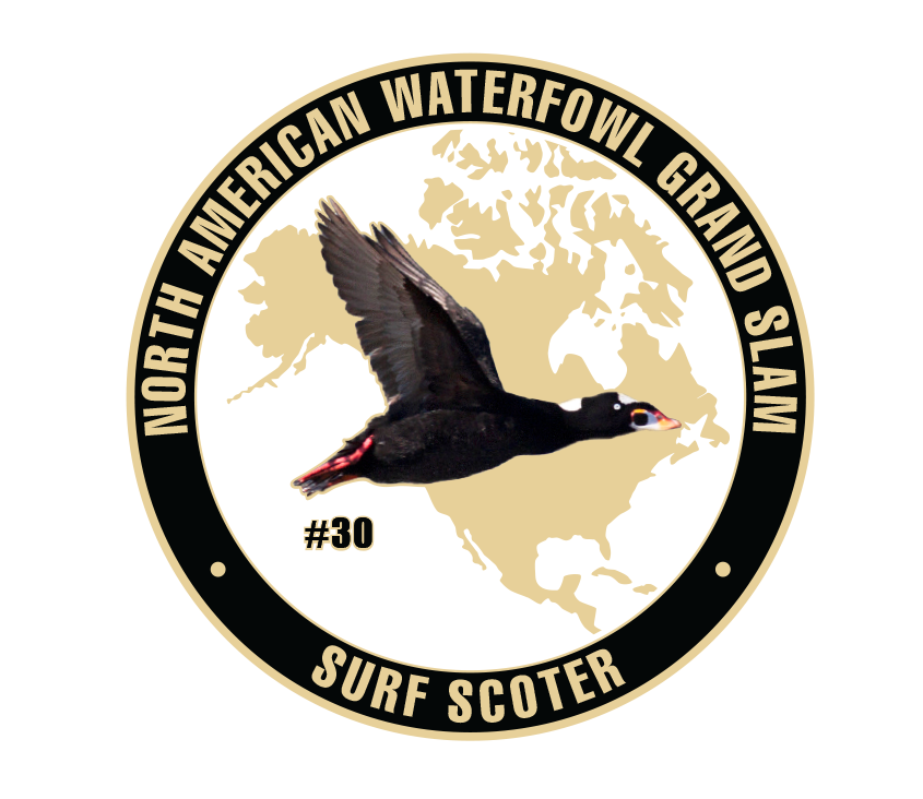 UWC Surf Scoter Challenge Coin
