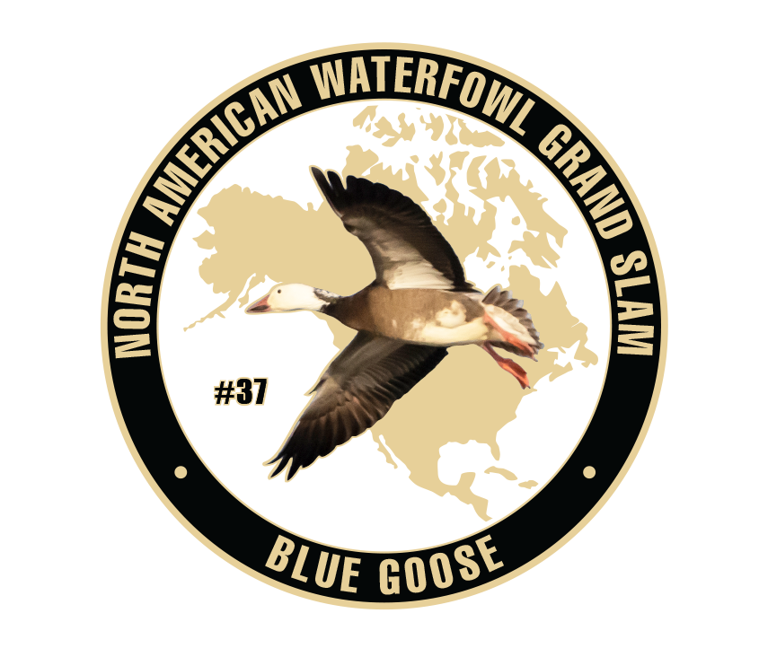 UWC Blue Goose Challenge Coin