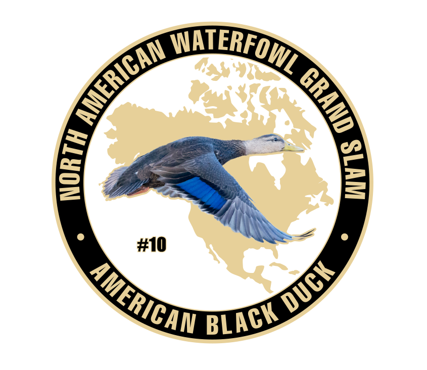 UWC American Black Duck Challenge Coin