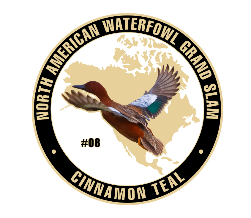 UWC Cinnamon Teal Challenge Coin