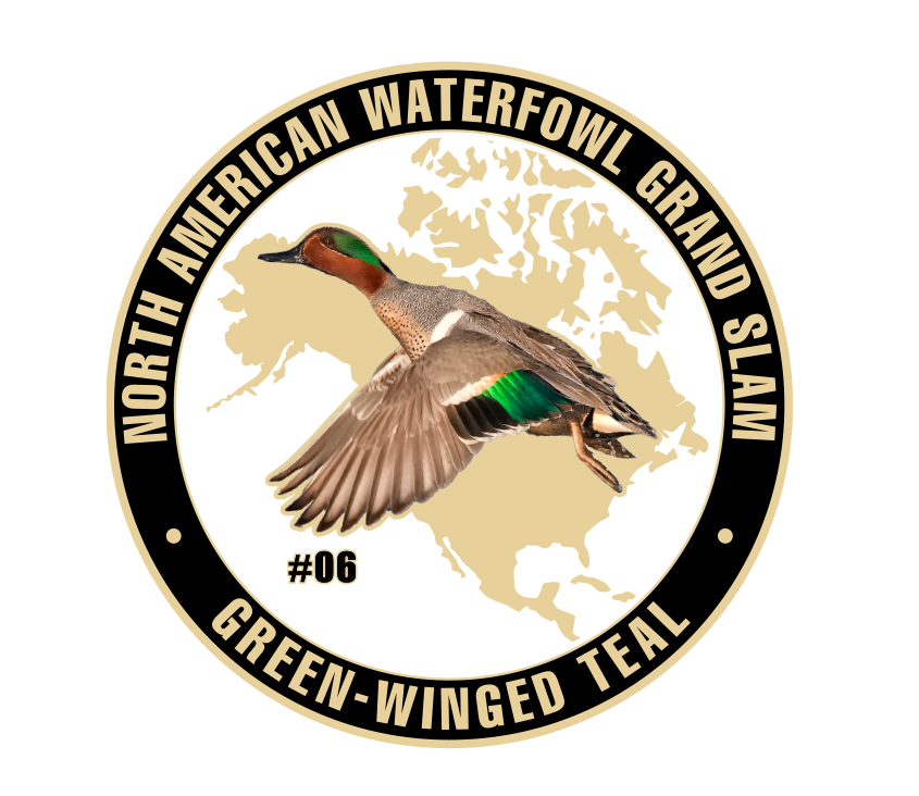 UWC Green Winged Teal Challenge Coin