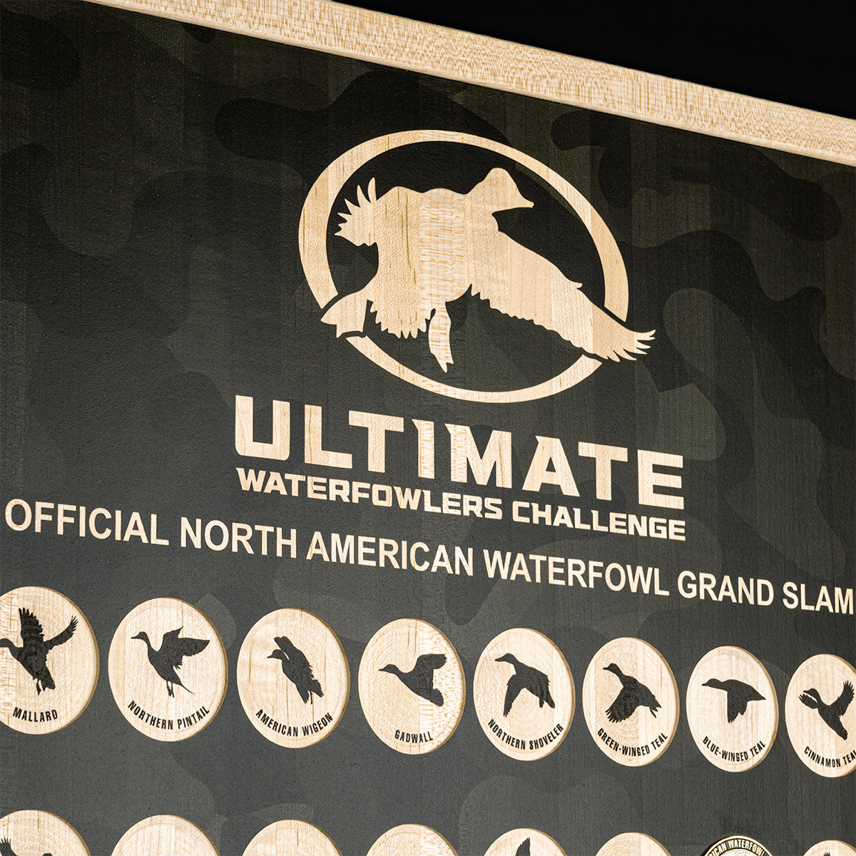 UWC OFFICAL CHALLENGLE COIN DISPLAY