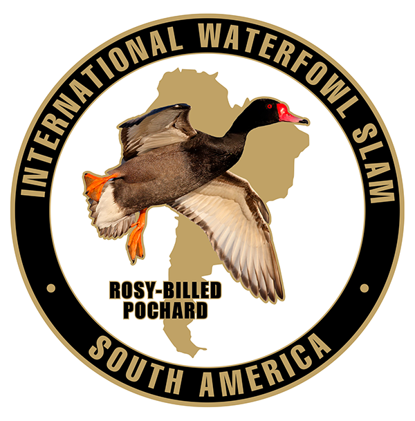 International Challenge Coin