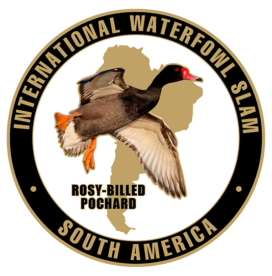 International Challenge Coin