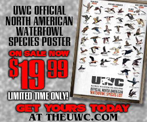 UWC OFFICIAL NORTH AMERICAN WATERFOWL SPECIES POSTER