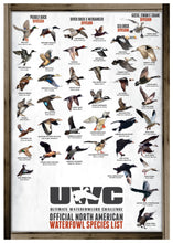 UWC OFFICIAL NORTH AMERICAN WATERFOWL SPECIES POSTER